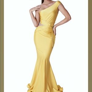 Eva Mejl gown (in blue)